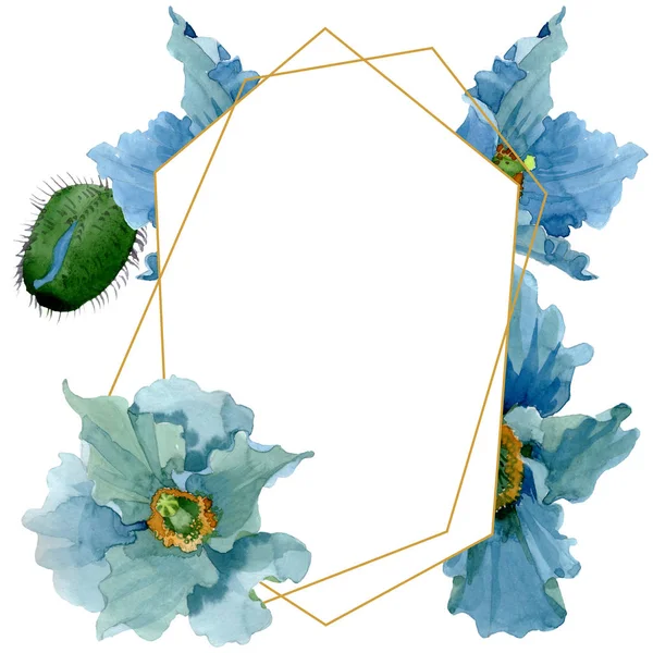 Flor de papoula azul flores botânicas. Conjunto de ilustração de fundo aquarela. Quadro borda ornamento quadrado . — Fotografia de Stock