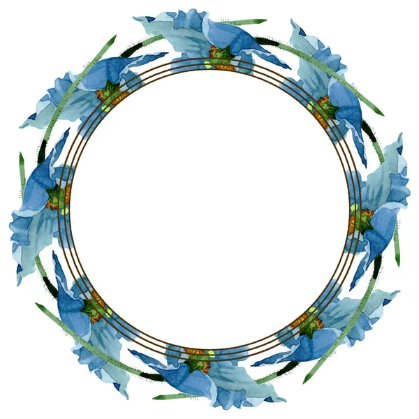 Flores botánicas florales de amapola azul. Conjunto de ilustración de fondo acuarela. Marco borde ornamento cuadrado . - foto de stock