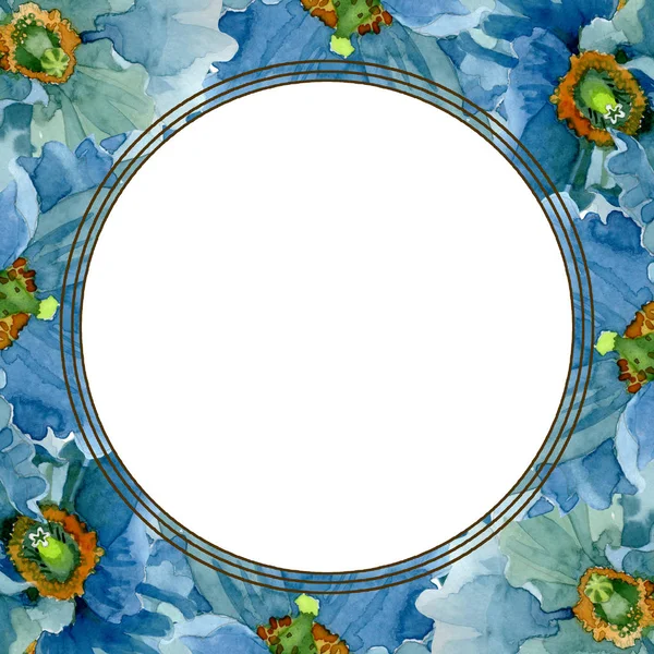 Flor de papoula azul flores botânicas. Conjunto de ilustração de fundo aquarela. Quadro borda ornamento quadrado . — Fotografia de Stock