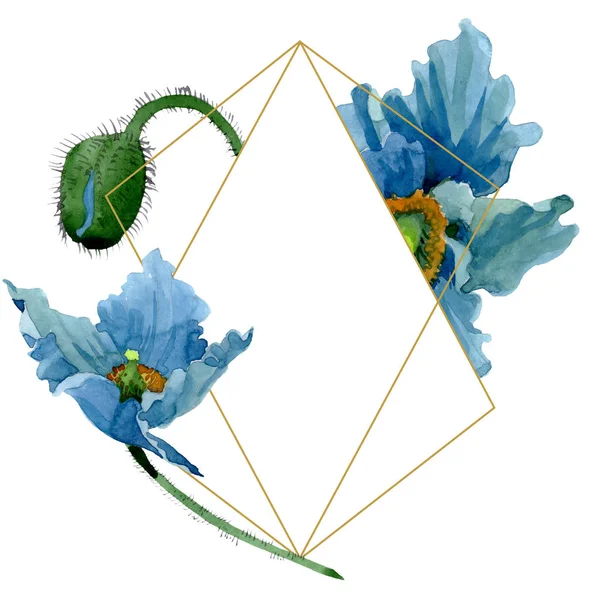 Fleurs botaniques florales de pavot bleu. Ensemble d'illustration de fond aquarelle. Cadre bordure ornement carré . — Photo de stock