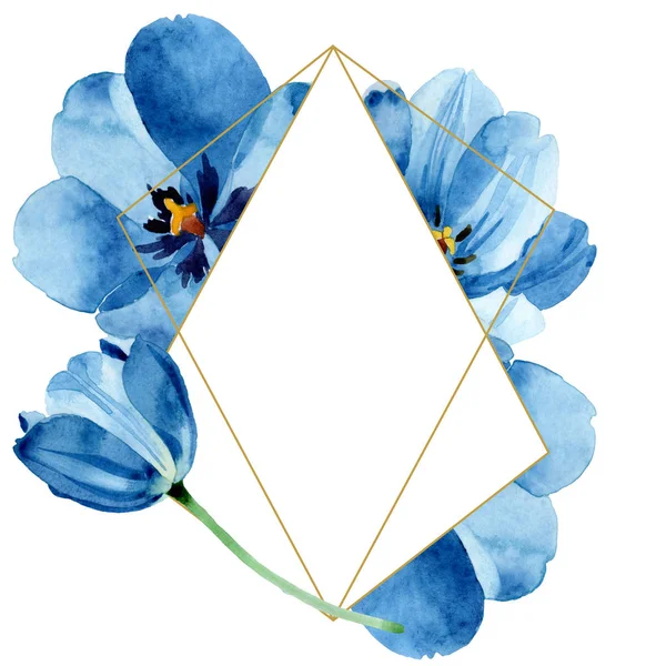 Flores botánicas florales de tulipán azul. Conjunto de ilustración de fondo acuarela. Marco borde ornamento cuadrado . - foto de stock
