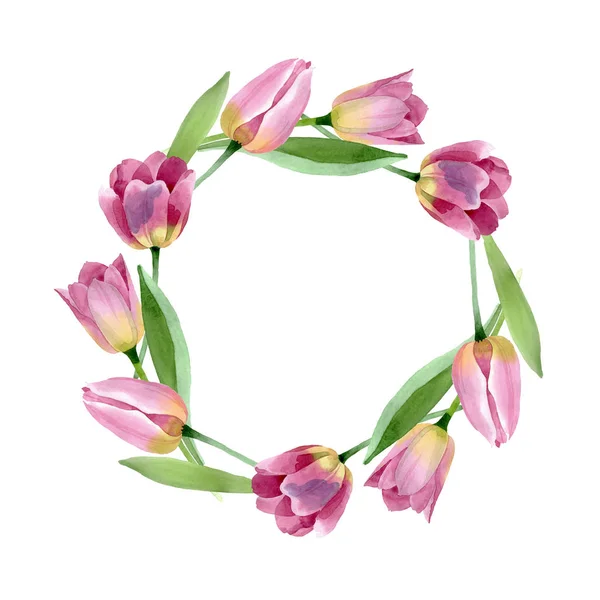 Pink tulips floral botanical flowers. Watercolor background illustration set. Frame border ornament square. — Stock Photo