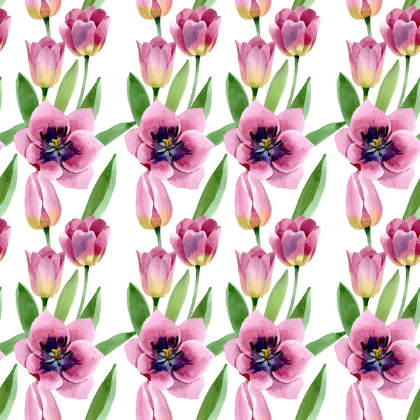 Tulipani rosa fiori botanici floreali. Acquerello sfondo illustrazione set. Modello di sfondo senza soluzione di continuità . — Foto stock