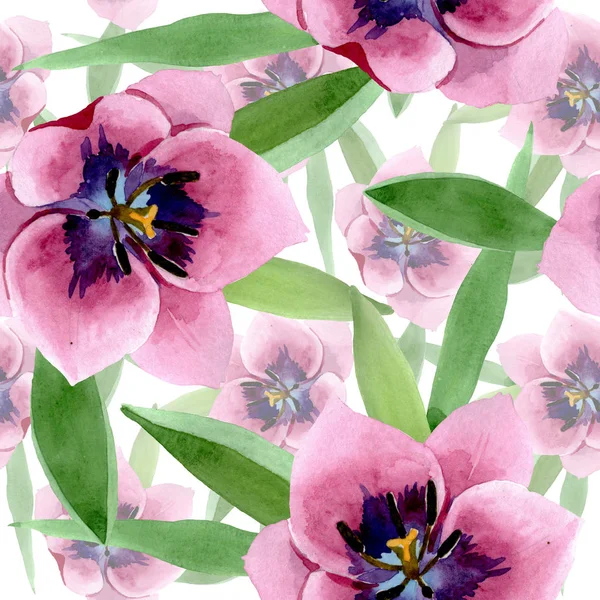 Tulipes roses fleurs botaniques florales. Ensemble d'illustration de fond aquarelle. Modèle de fond sans couture . — Photo de stock