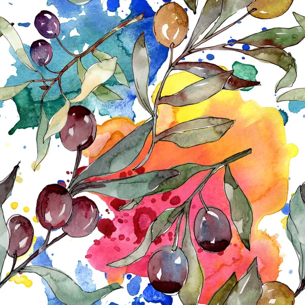 Branche d'olivier aux fruits noirs et verts. Ensemble d'illustration de fond aquarelle. Modèle de fond sans couture . — Photo de stock