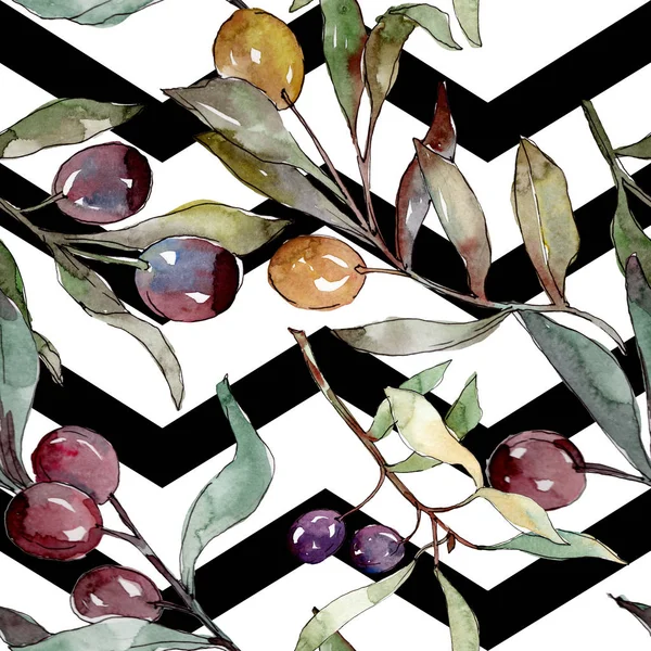 Оливковая ветвь с черными и зелеными фруктами. Набор акварельных фонов. Бесшовный рисунок фона . — стоковое фото