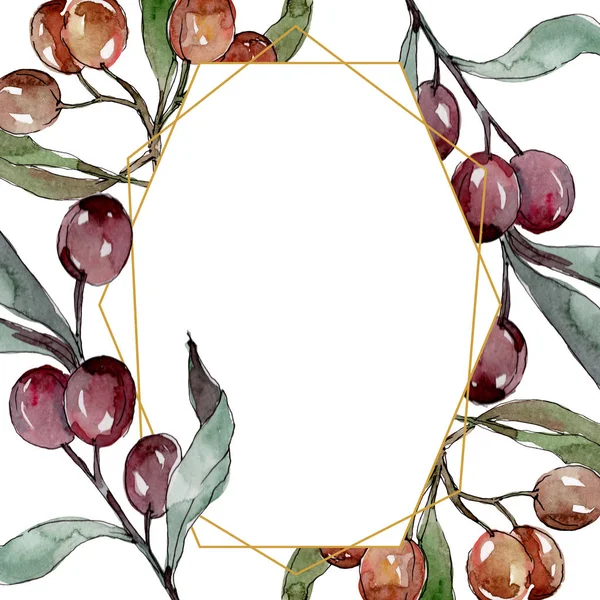 Ramo d'ulivo con frutto nero e verde. Acquerello sfondo illustrazione set. Quadrato ornamento bordo cornice . — Foto stock