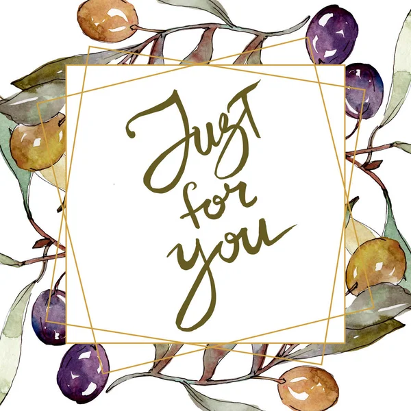 Olive branch with black and green fruit. Watercolor background illustration set. Frame border ornament square. — Stock Photo