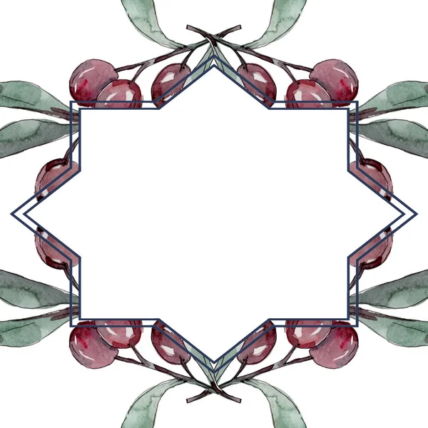 Olivenzweig mit schwarzen und grünen Früchten. Aquarell Hintergrundillustration Set. Rahmen Rand Ornament Quadrat. — Stockfoto