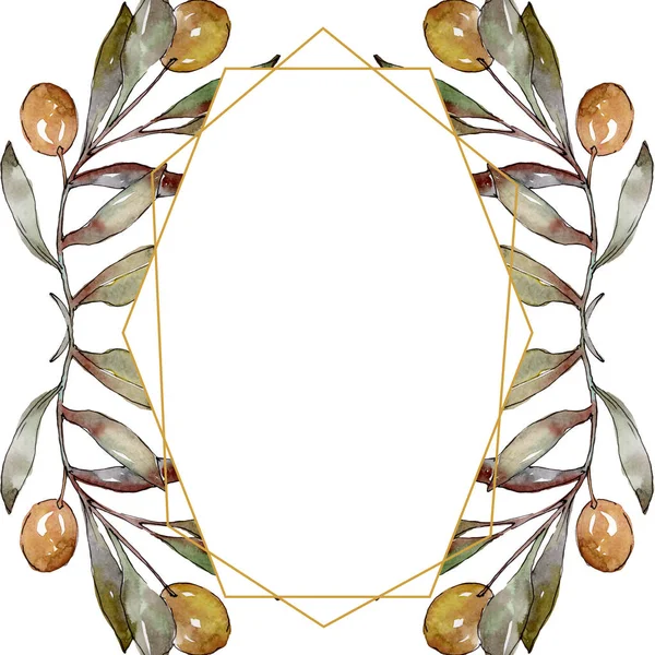Branche d'olivier aux fruits noirs et verts. Ensemble d'illustration de fond aquarelle. Cadre bordure ornement carré . — Stock Photo