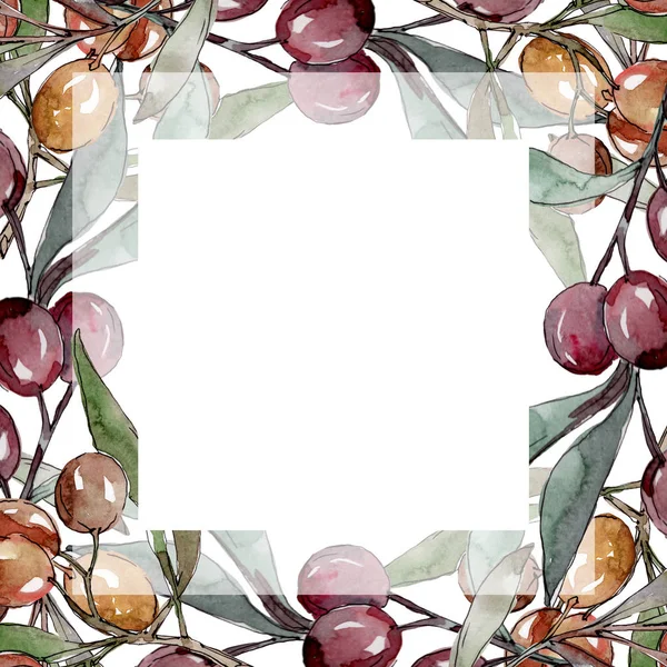 Olivenzweig mit schwarzen und grünen Früchten. Aquarell Hintergrundillustration Set. Rahmen Rand Ornament Quadrat. — Stockfoto