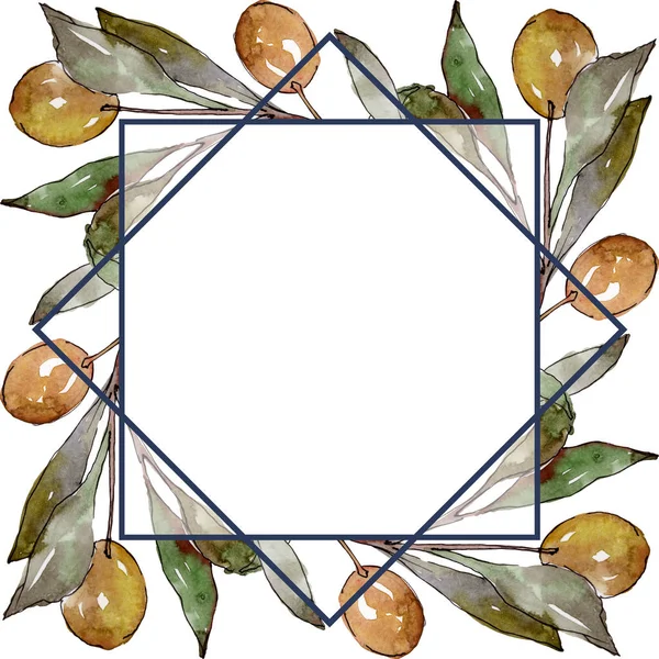 Olivenzweig mit schwarzen und grünen Früchten. Aquarell Hintergrundillustration Set. Rahmen Rand Ornament Quadrat. — Stockfoto