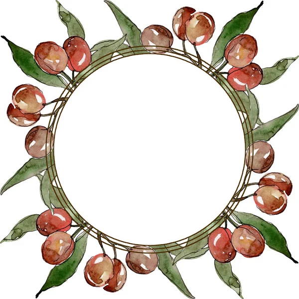 Olivenzweig mit schwarzen und grünen Früchten. Aquarell Hintergrundillustration Set. Rahmen Rand Ornament Quadrat. — Stockfoto