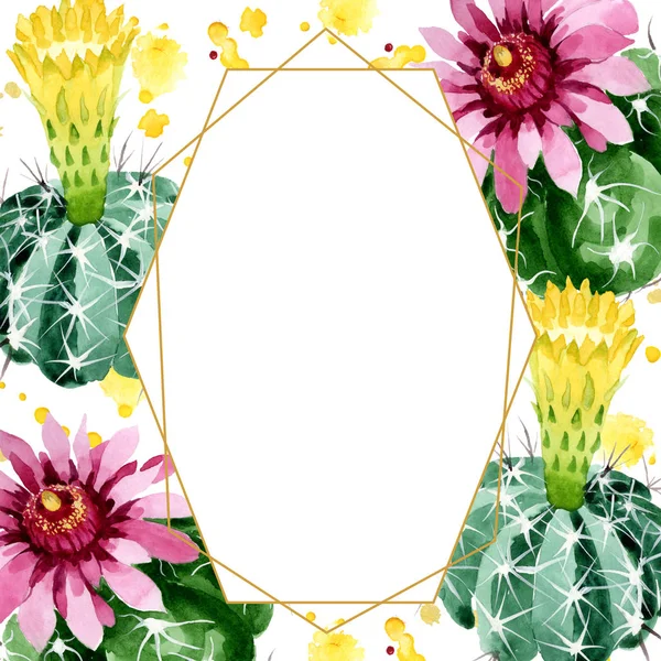 Fleurs botaniques florales de cactus vert. Ensemble d'illustration de fond aquarelle. Cadre bordure ornement carré . — Photo de stock