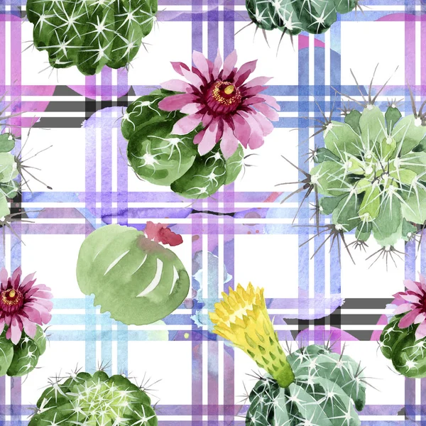 Grüne Kakteen mit botanischen Blüten. Aquarell Hintergrundillustration Set. nahtloses Hintergrundmuster. — Stockfoto