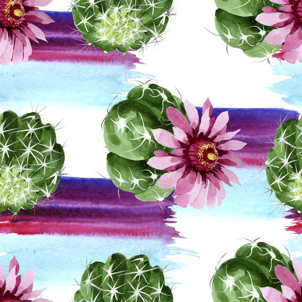 Green cactus floral botanical flowers. Watercolor background illustration set. Seamless background pattern. — Stock Photo