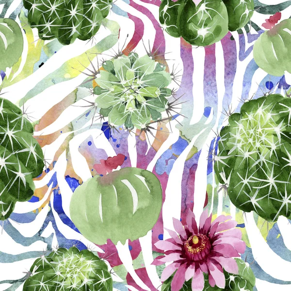 Fleurs botaniques florales de cactus vert. Ensemble d'illustration de fond aquarelle. Modèle de fond sans couture . — Photo de stock