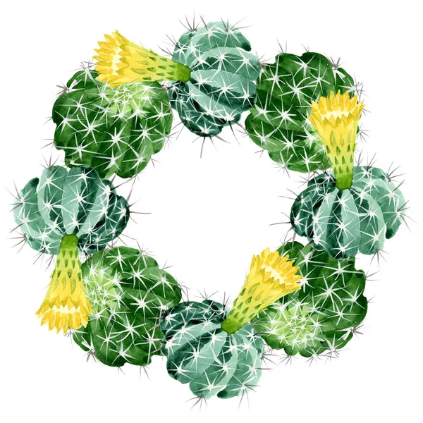 Grüne Kakteen mit botanischen Blüten. Aquarell Hintergrundillustration Set. Rahmen Rand Ornament Quadrat. — Stockfoto