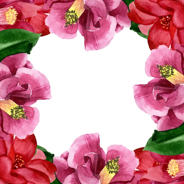 Flor botánica floral camelia roja. Conjunto de ilustración de fondo acuarela. Marco borde ornamento cuadrado . - foto de stock