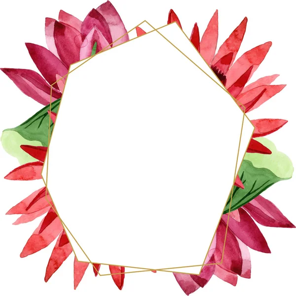 Rote botanische Lotusblume. Aquarell Hintergrundillustration Set. Rahmen Rand Ornament Quadrat. — Stockfoto
