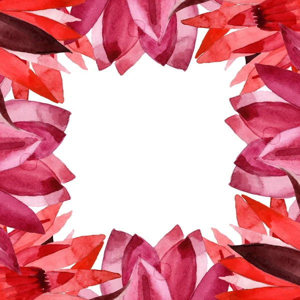 Flor botánica floral de loto rojo. Conjunto de ilustración de fondo acuarela. Marco borde ornamento cuadrado . - foto de stock