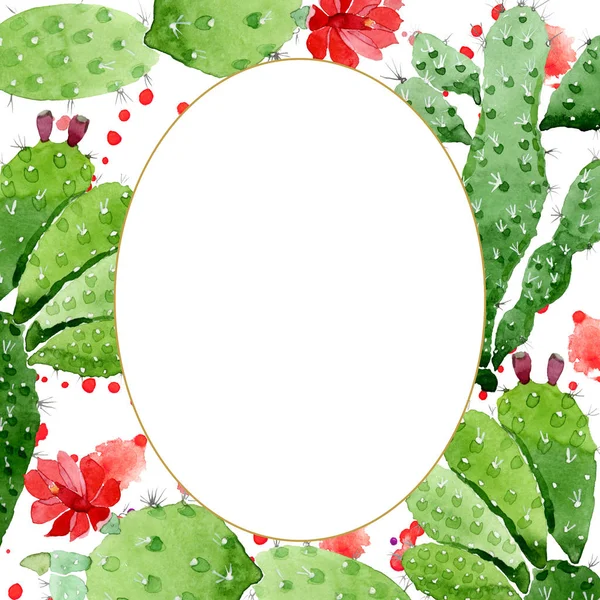 Fleurs botaniques florales de cactus vert. Ensemble d'illustration de fond aquarelle. Cadre bordure ornement carré . — Photo de stock