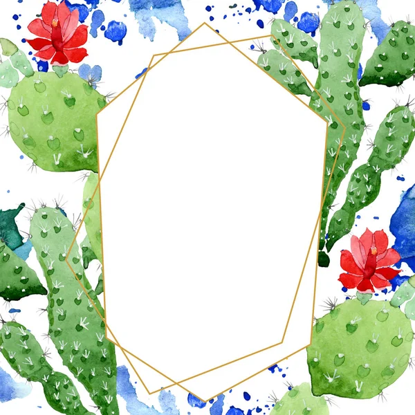 Flores botánicas florales de cactus verde. Conjunto de ilustración de fondo acuarela. Marco borde ornamento cuadrado . - foto de stock