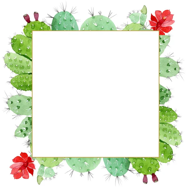 Fiori botanici floreali di cactus verde. Acquerello sfondo illustrazione set. Quadrato ornamento bordo cornice . — Foto stock