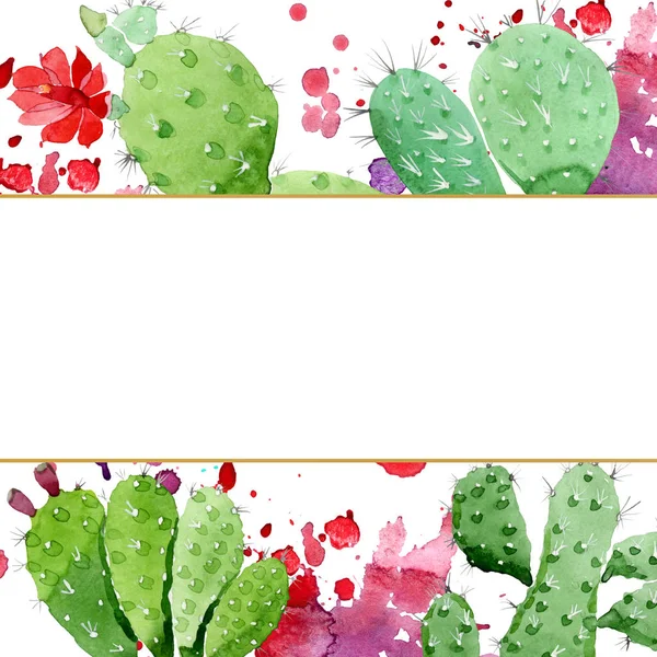 Зелені кактуси квіткові ботанічні квіти. Набір ілюстрацій для акварельного фону. Каркасна площа прикордонного орнаменту . — стокове фото