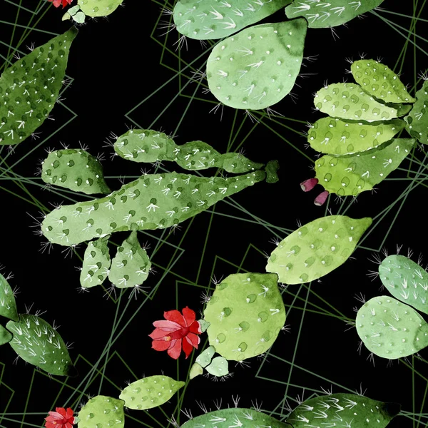 Grüne Kakteen mit botanischen Blüten. Aquarell Hintergrundillustration Set. nahtloses Hintergrundmuster. — Stockfoto