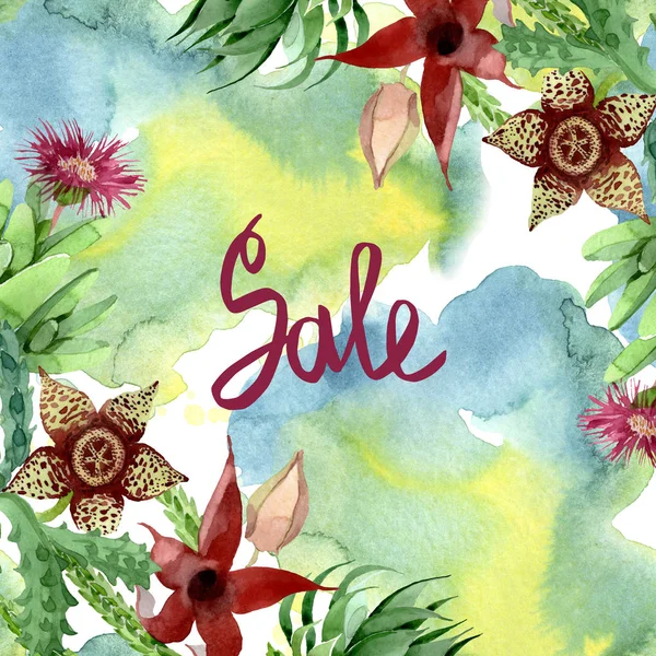 Flor botânica floral cacto verde. Conjunto de ilustração de fundo aquarela. Quadro borda ornamento quadrado . — Fotografia de Stock