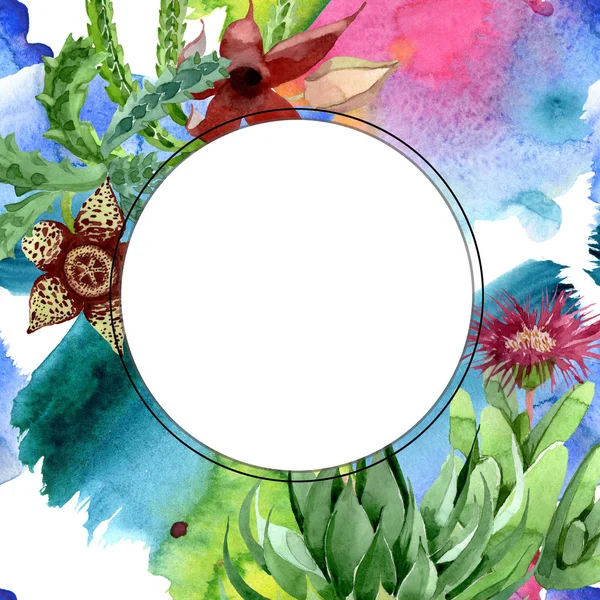 Grünen Kaktus Blumen botanische Blume. Aquarell Hintergrundillustration Set. Rahmen Rand Ornament Quadrat. — Stockfoto
