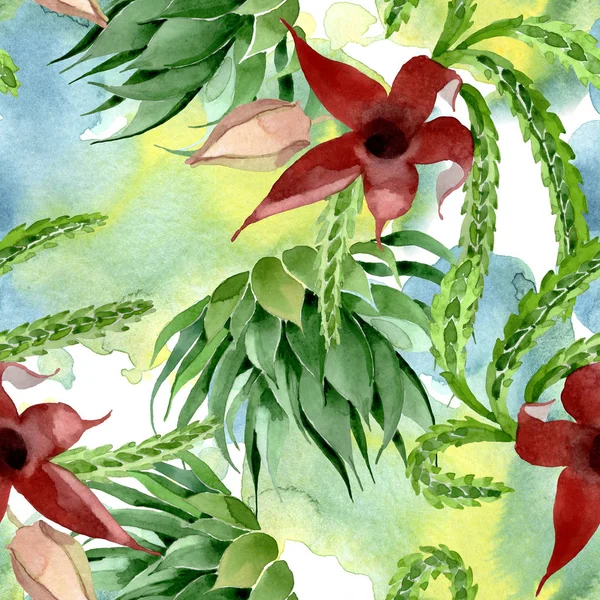 Green cactus floral botanical flower. Watercolor background illustration set. Seamless background pattern. — Stock Photo