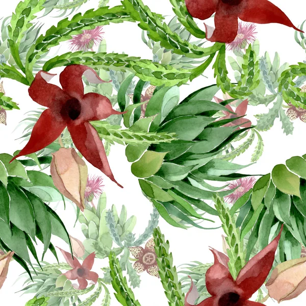 Fleurs botaniques florales de cactus vert. Ensemble d'illustration de fond aquarelle. Modèle de fond sans couture . — Photo de stock