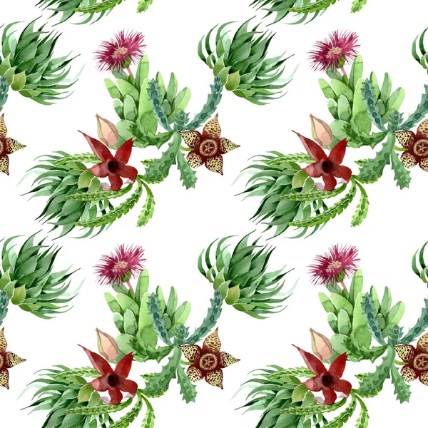 Зелена кактусова квіткова ботанічна квітка. Набір ілюстрацій для акварельного фону. Безшовний візерунок тла . — стокове фото
