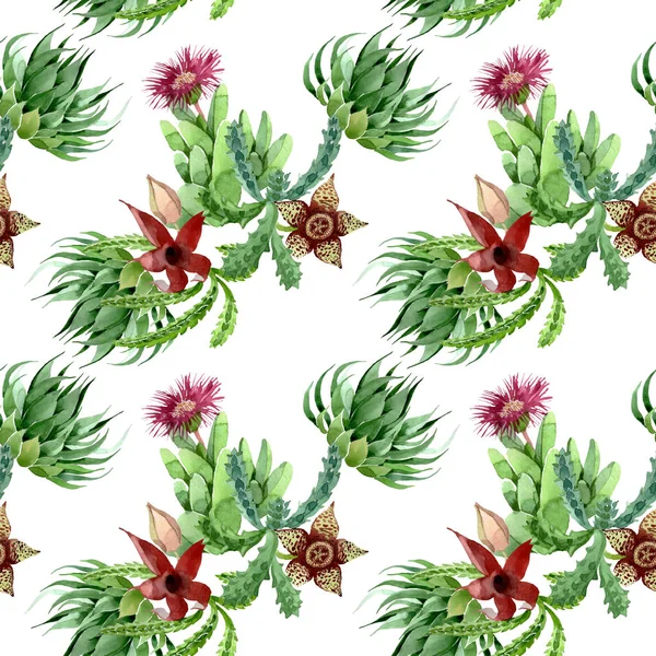 Flor botánica floral de cactus verde. Conjunto de ilustración de fondo acuarela. Patrón de fondo sin costuras . - foto de stock