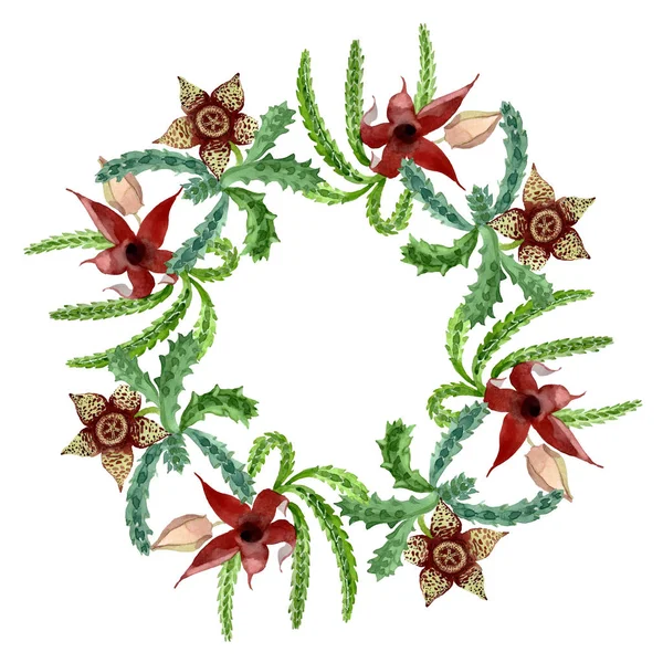Grünen Kaktus Blumen botanische Blume. Aquarell Hintergrundillustration Set. Rahmen Rand Ornament Quadrat. — Stockfoto