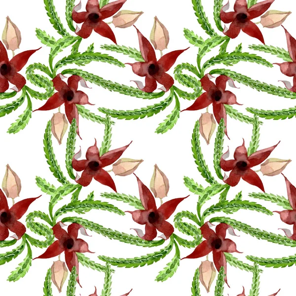 Зеленый цветочный ботанический цветок кактуса. Набор акварельных фонов. Бесшовный рисунок фона . — стоковое фото