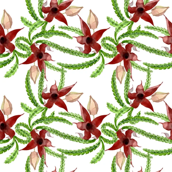 Green cactus floral botanical flower. Watercolor background illustration set. Seamless background pattern. — Stock Photo