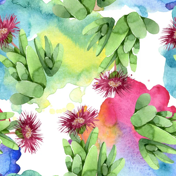 Flor botânica floral cacto verde. Conjunto de ilustração de fundo aquarela. Padrão de fundo sem costura . — Fotografia de Stock