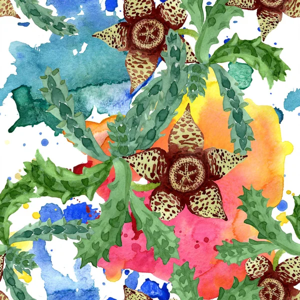 Grünen Kaktus Blumen botanische Blume. Aquarell Hintergrundillustration Set. nahtloses Hintergrundmuster. — Stockfoto