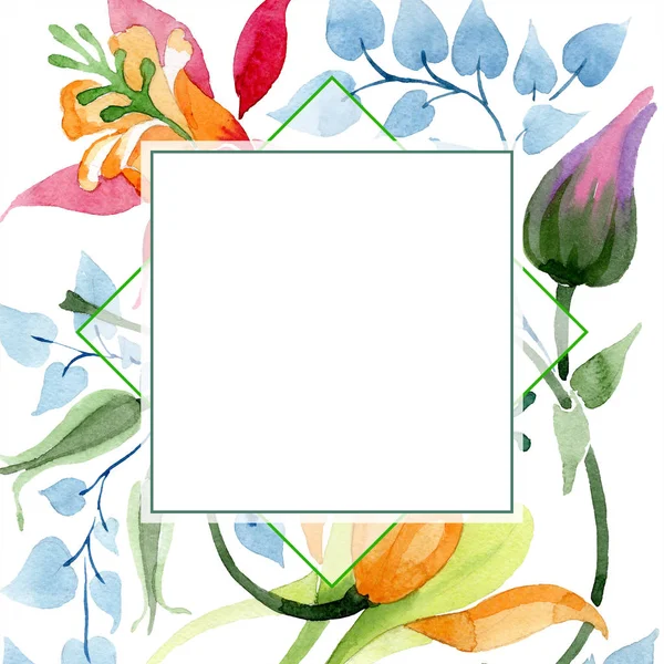 Ornamento flor botânica floral. Folha selvagem primavera wildflower isolado. Conjunto de ilustração de fundo aquarela. Aquarelle desenho aquarelle moda isolado. Quadro borda ornamento quadrado . — Fotografia de Stock