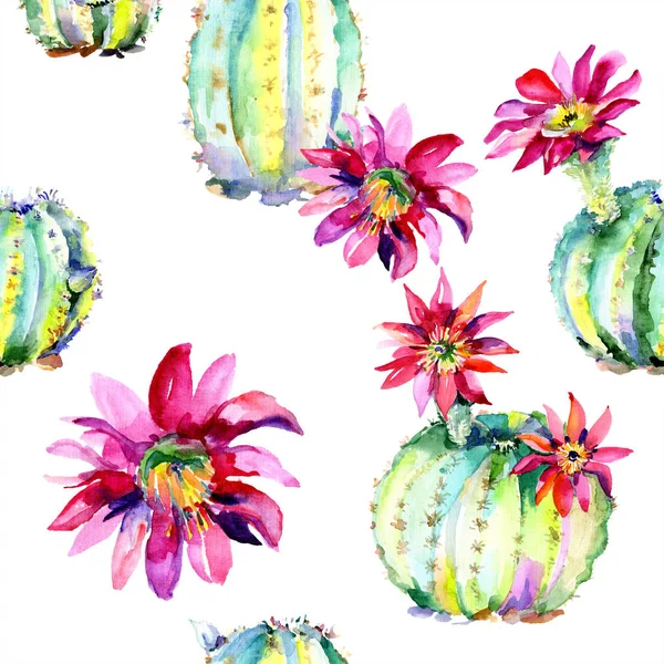 Grüner Kaktus. Blütenbotanische Blume. wildes Frühlingsblatt Wildblume isoliert. nahtloses Hintergrundmuster. — Stockfoto