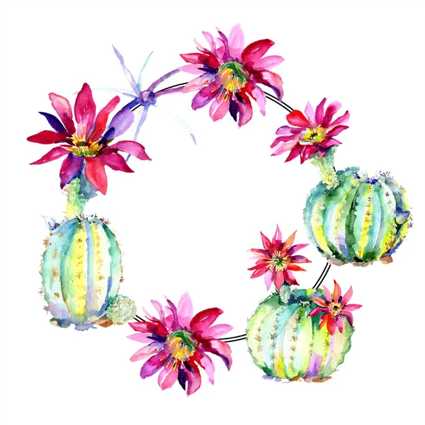 Grüner Kaktus. Blütenbotanische Blume. Rahmen Bordüre Ornament Quadrat. Aquarell Hintergrund Illustration Set. — Stockfoto