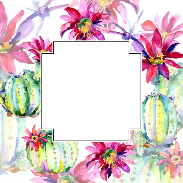 Cactus verde. Fiore botanico floreale. Quadrato ornamento bordo cornice. Acquerello sfondo illustrazione set . — Foto stock