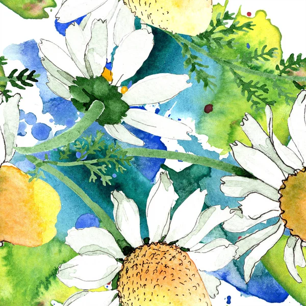 Camomille fleur botanique florale. Feuille de printemps sauvage isolée. Ensemble d'illustration aquarelle. Aquarelle dessin mode aquarelle. Modèle de fond sans couture. Texture d'impression papier peint tissu . — Photo de stock