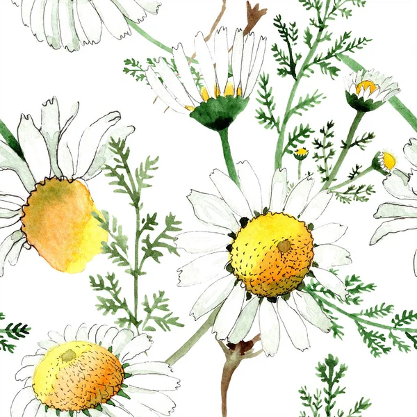 Kamille blühende botanische Blume. wildes Frühlingsblatt isoliert. Aquarell-Illustrationsset vorhanden. Aquarell zeichnen Mode-Aquarell. nahtlose Hintergrundmuster. Stoff Tapete drucken Textur. — Stockfoto