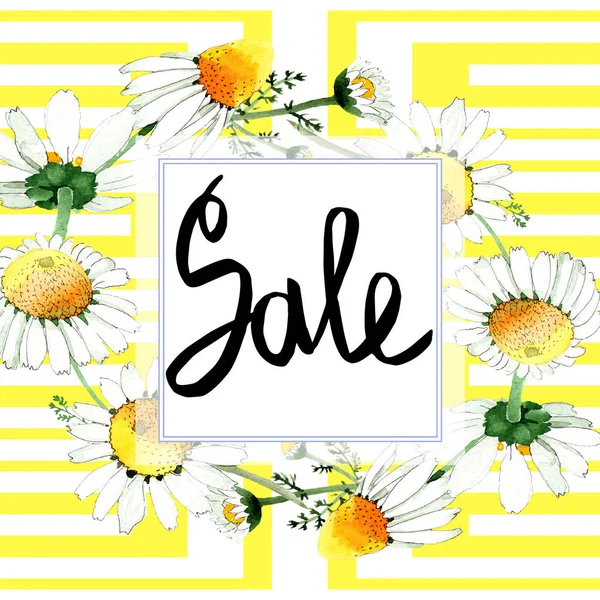 Camomilla fiore botanico floreale. Fiore selvatico primaverile isolato. Acquerello sfondo illustrazione set. Acquerello disegno moda acquerello isolato. Quadrato ornamento bordo cornice . — Foto stock