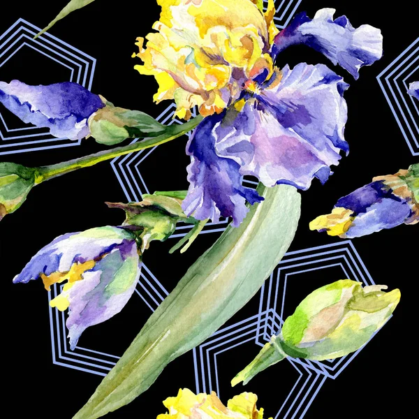 Purple yellow iris. Floral botanical flower. Wild spring leaf wildflower isolated. Watercolor background illustration set. Watercolour drawing fashion aquarelle isolated. — Stock Photo
