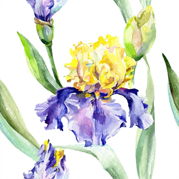 Purpurgelbe Iris. Blütenbotanische Blume. wildes Frühlingsblatt Wildblume isoliert. Aquarell Hintergrundillustration Set. Aquarell Zeichnung Mode Aquarell isoliert. — Stockfoto